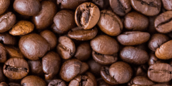 Wat is de beste professionele horeca koffiemolen?